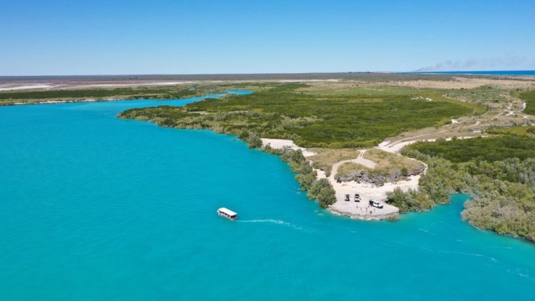 A plane crashed into waters full of crocodiles